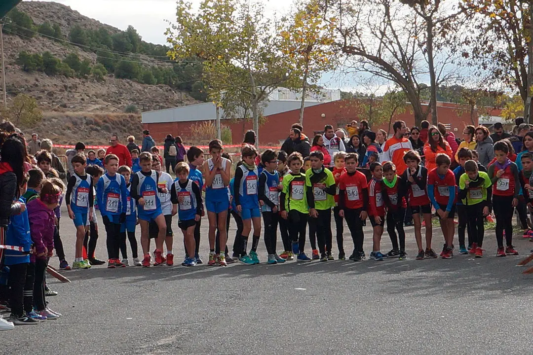 Cross en Valtierra 14