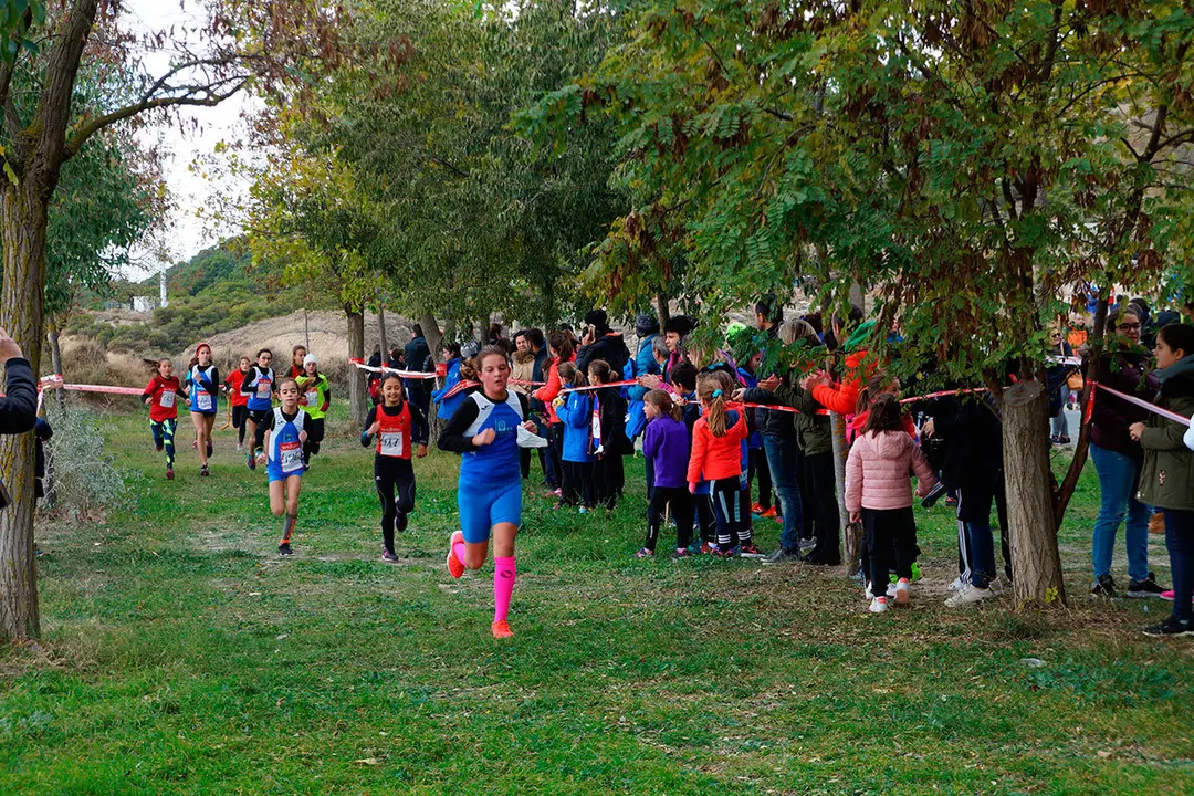 Cross en Valtierra 20