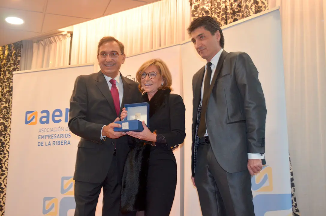 Galardones AER 18