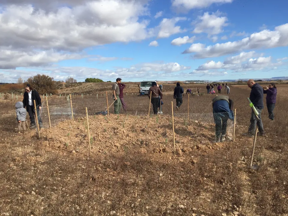 Reforestaci&oacute;n en el Pulguer 2