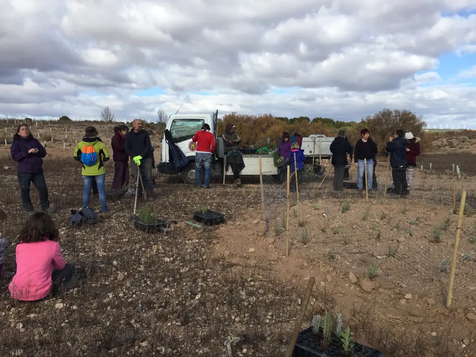 Reforestaci&oacute;n en el Pulguer 4