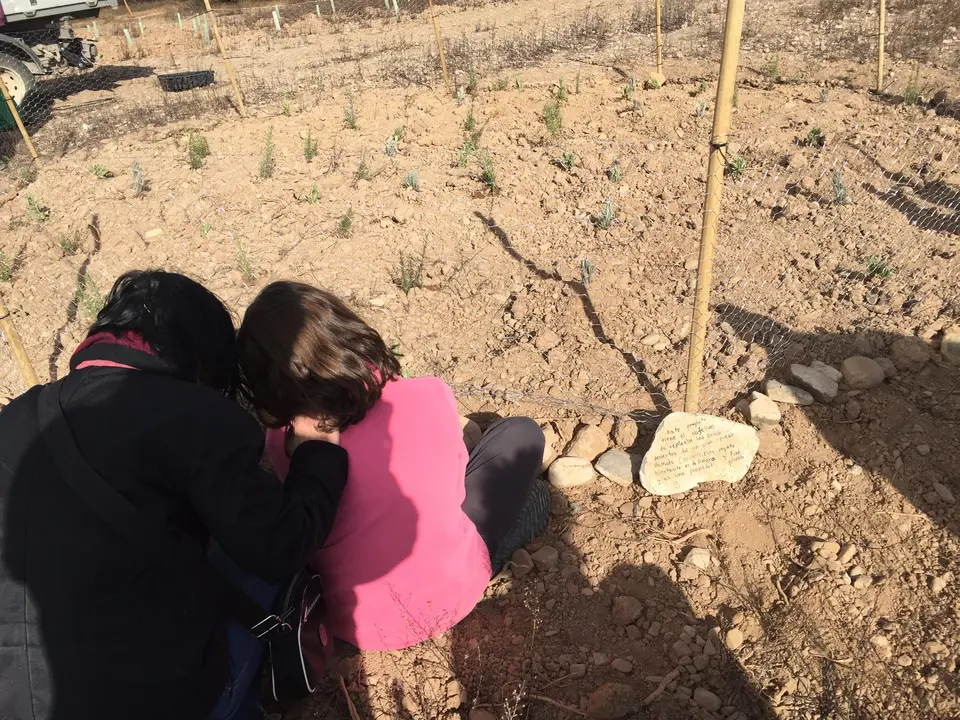 Reforestaci&oacute;n en el Pulguer 6