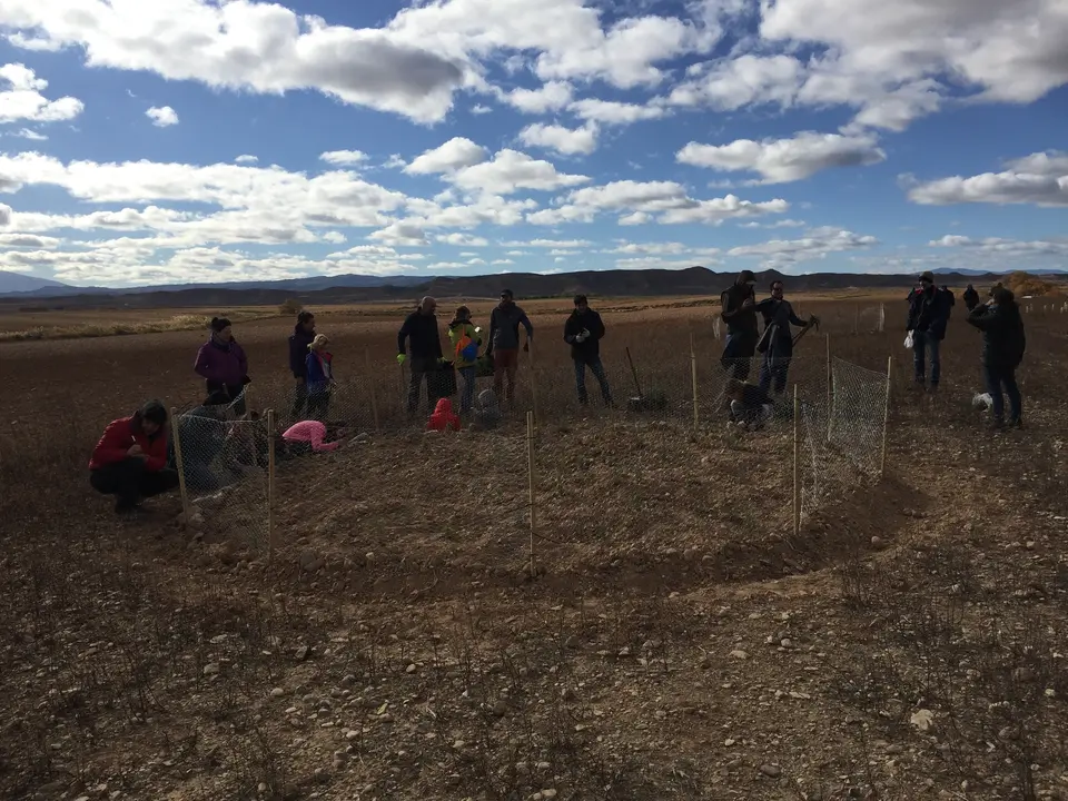 Reforestaci&oacute;n en el Pulguer 7