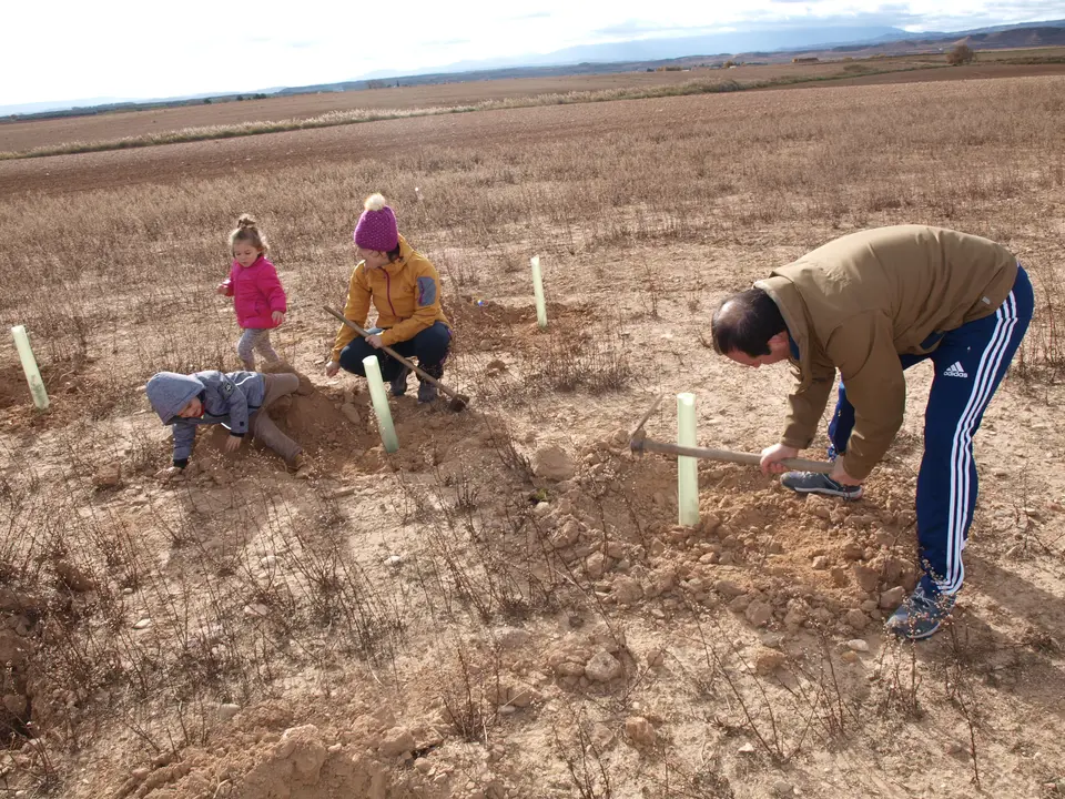 Reforestaci&oacute;n en el Pulguer 9