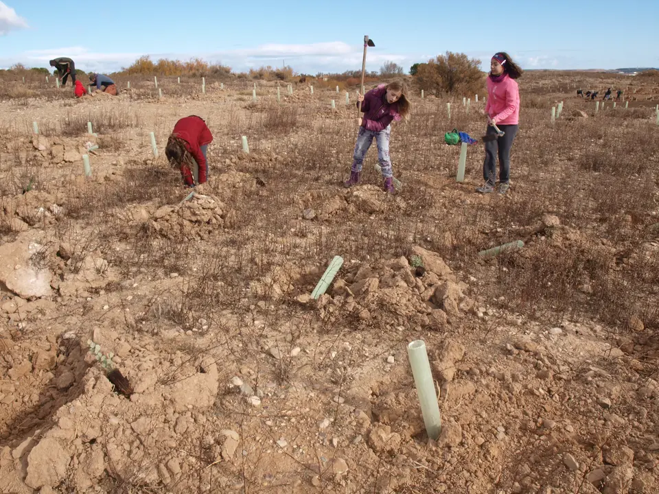 Reforestaci&oacute;n en el Pulguer 10