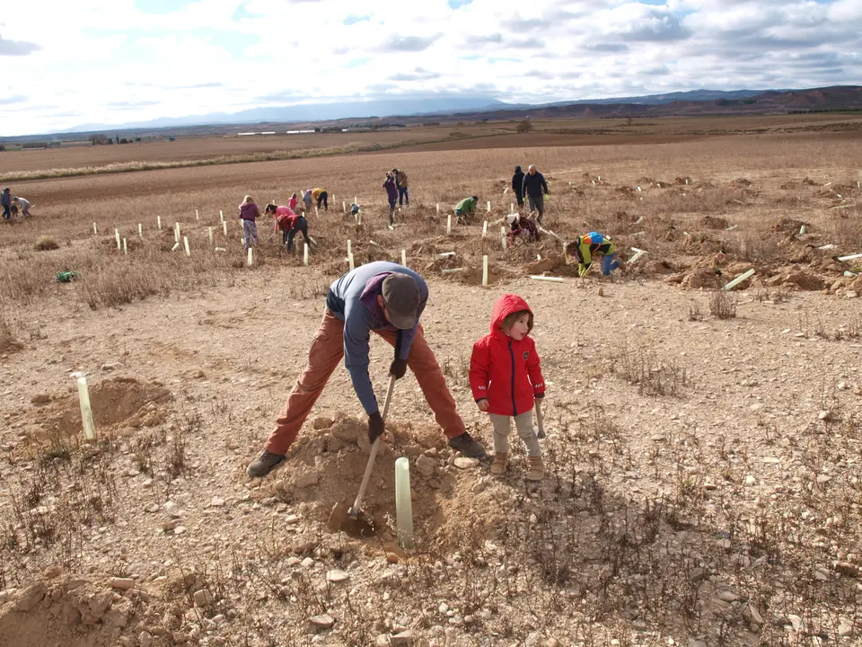 Reforestaci&oacute;n en el Pulguer 12