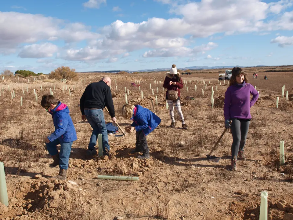 Reforestaci&oacute;n en el Pulguer 14