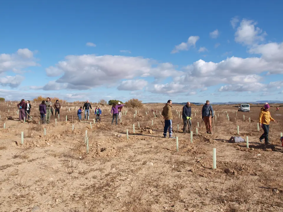 Reforestaci&oacute;n en el Pulguer 15
