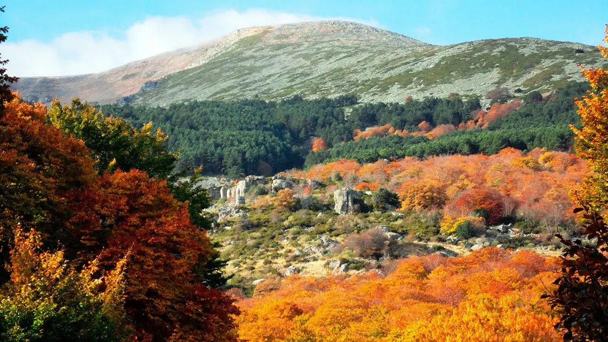 Estampa del Moncayo