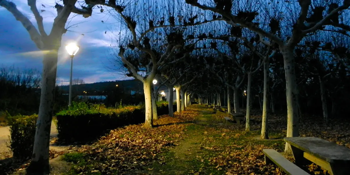 La nueva iluminaci&oacute;n con la que cuenta el parque del Barranco