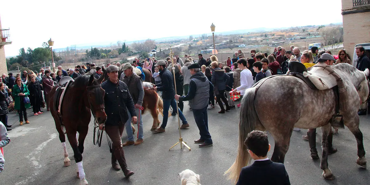Varios caballos pasaron por la plaza del Ayuntamiento a recibir sus bendiciones