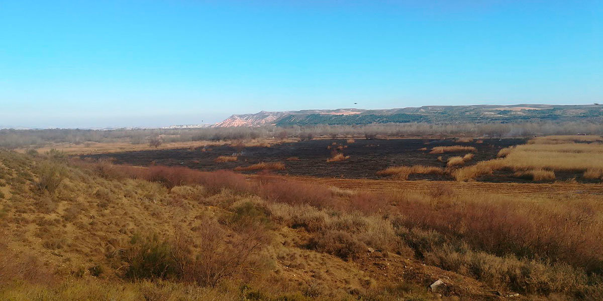Fuego controlado llevado a cabo en el Enclave Natural del Soto de los Tetones de Tudela