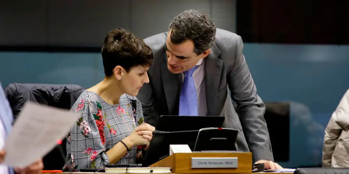 Los socialistas fueron el &uacute;nico grupo que vot&oacute; a favor
