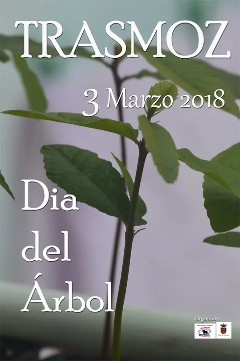 D&iacute;a del &Aacute;rbol en Grisel y Trasmoz