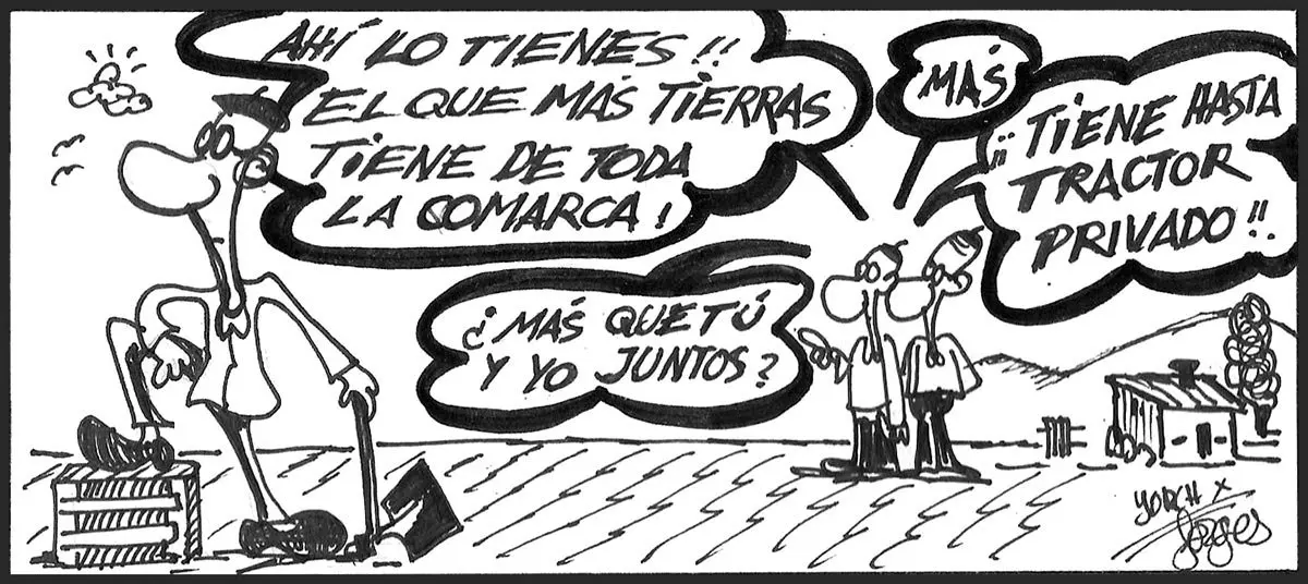 Yorch-1215-1