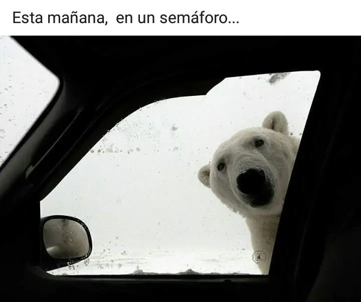 As&iacute; est&aacute; la situaci&oacute;n por la Ribera