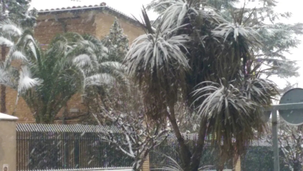 Colegio Anunciata, fotograf&iacute;a de Carmen Muro