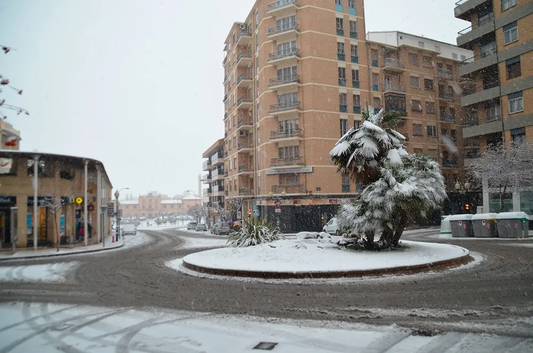 Tudela nevada - 3