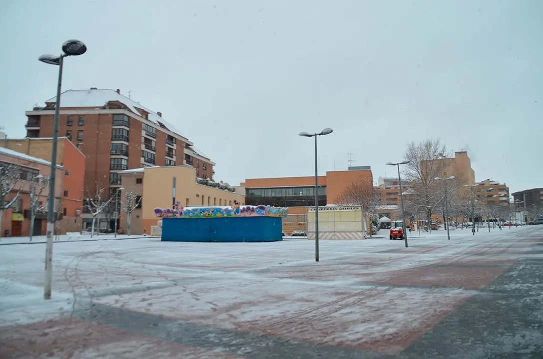 Tudela nevada - 41