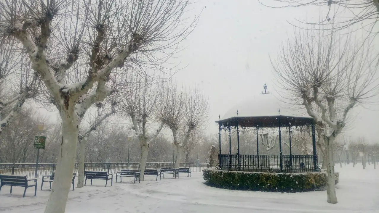 Tudela, Fotograf&iacute;a de Susna Tarragona 2