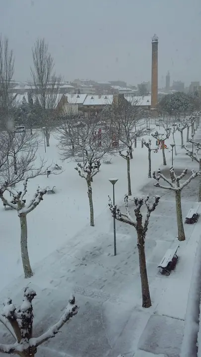 Plaza Azucarera de Tudela, Mapi Salcedo Lapuente