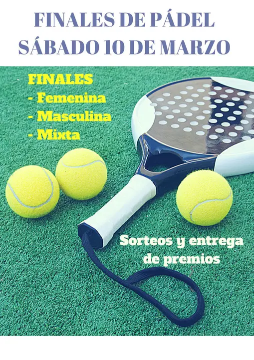 Finales de la Liga de P&aacute;del 2018 de Valtierra