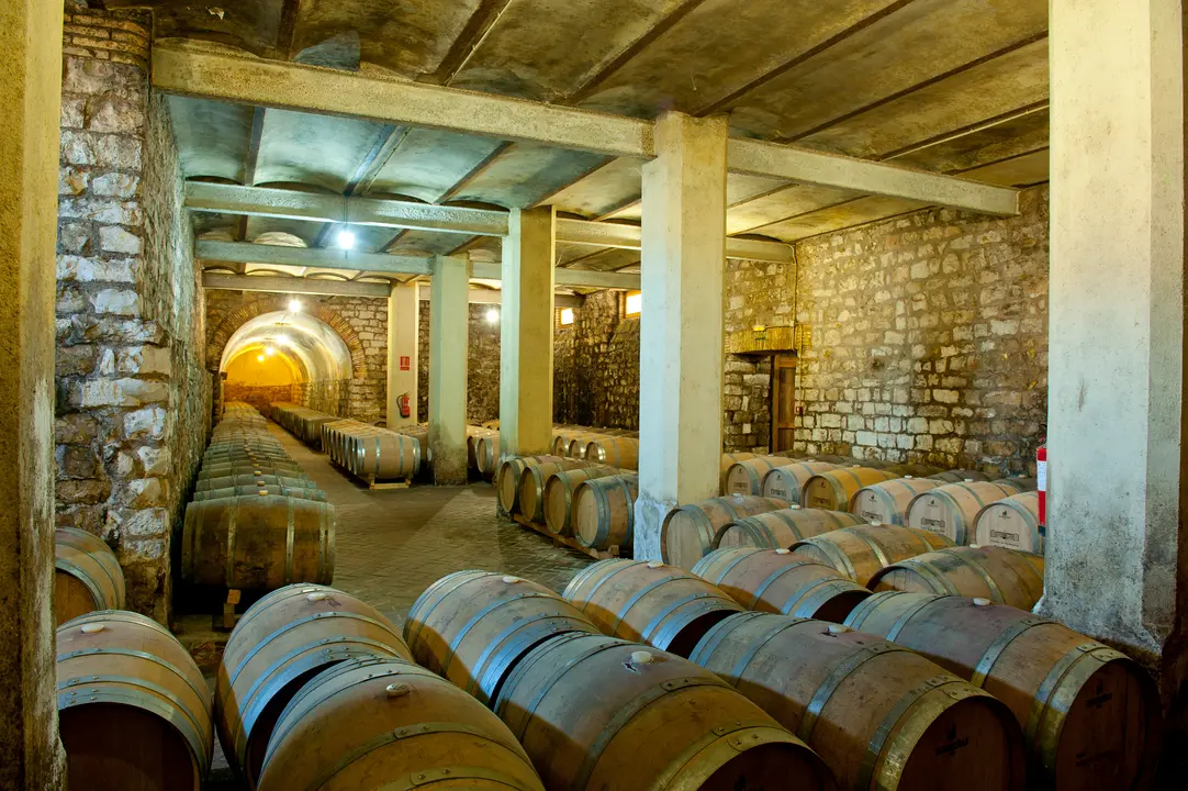 nuevasbodega (4)