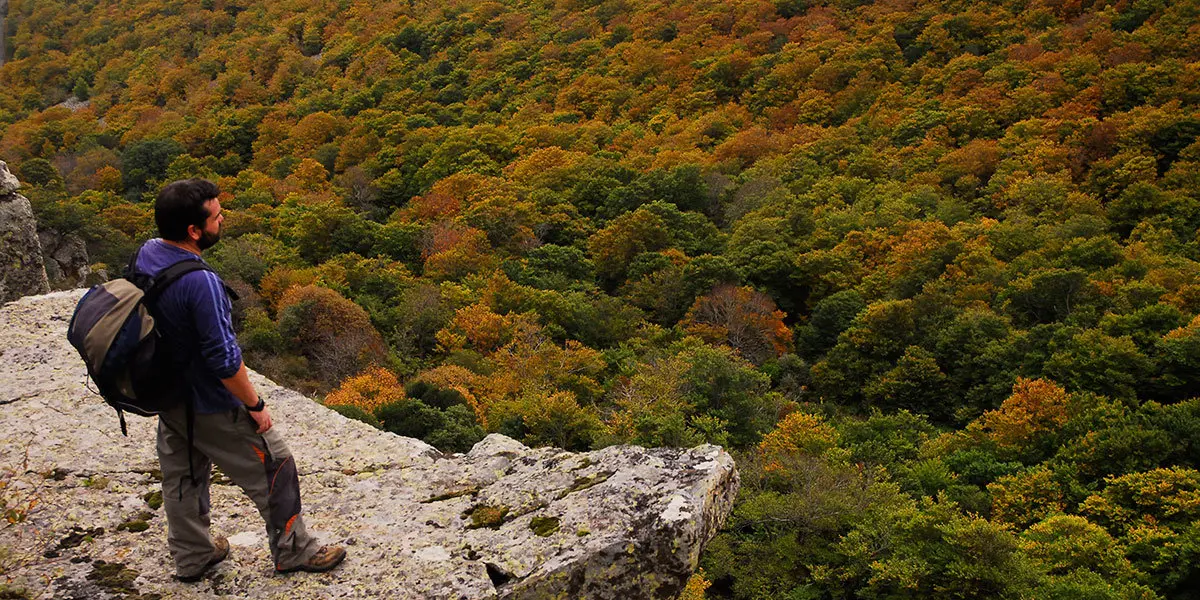 El Hayedo del Moncayo Fotograf&iacute;a de Eduardo Vi&ntilde;uales