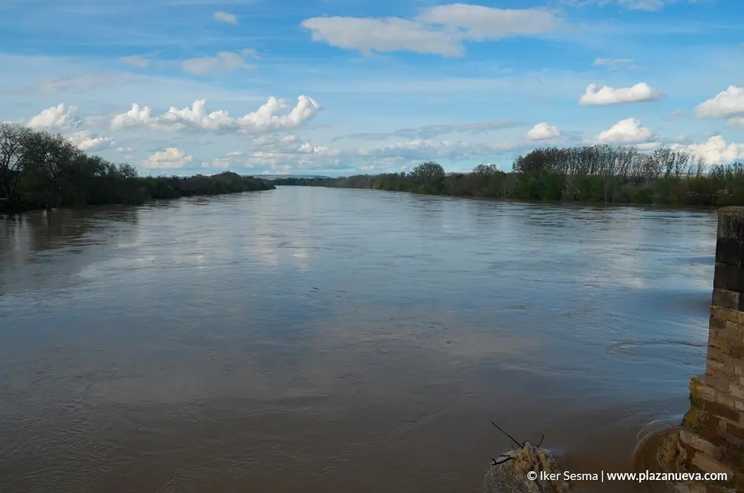 Crecida del Ebro (Tudela, 12-04-2018) - 12