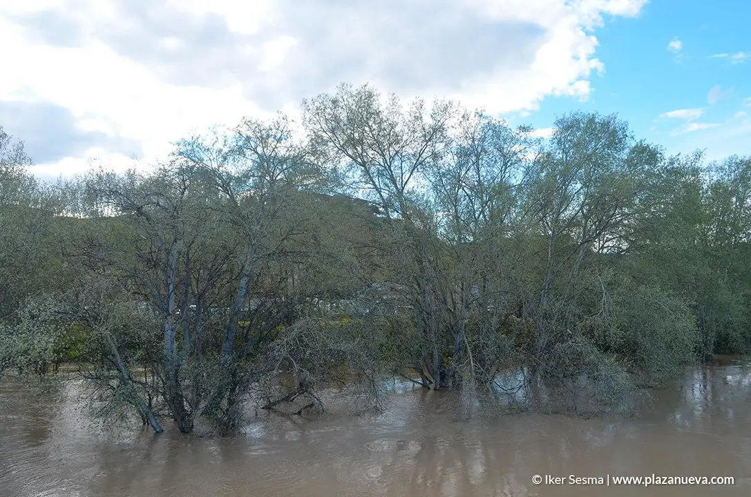 Crecida del Ebro (Tudela, 12-04-2018) - 14