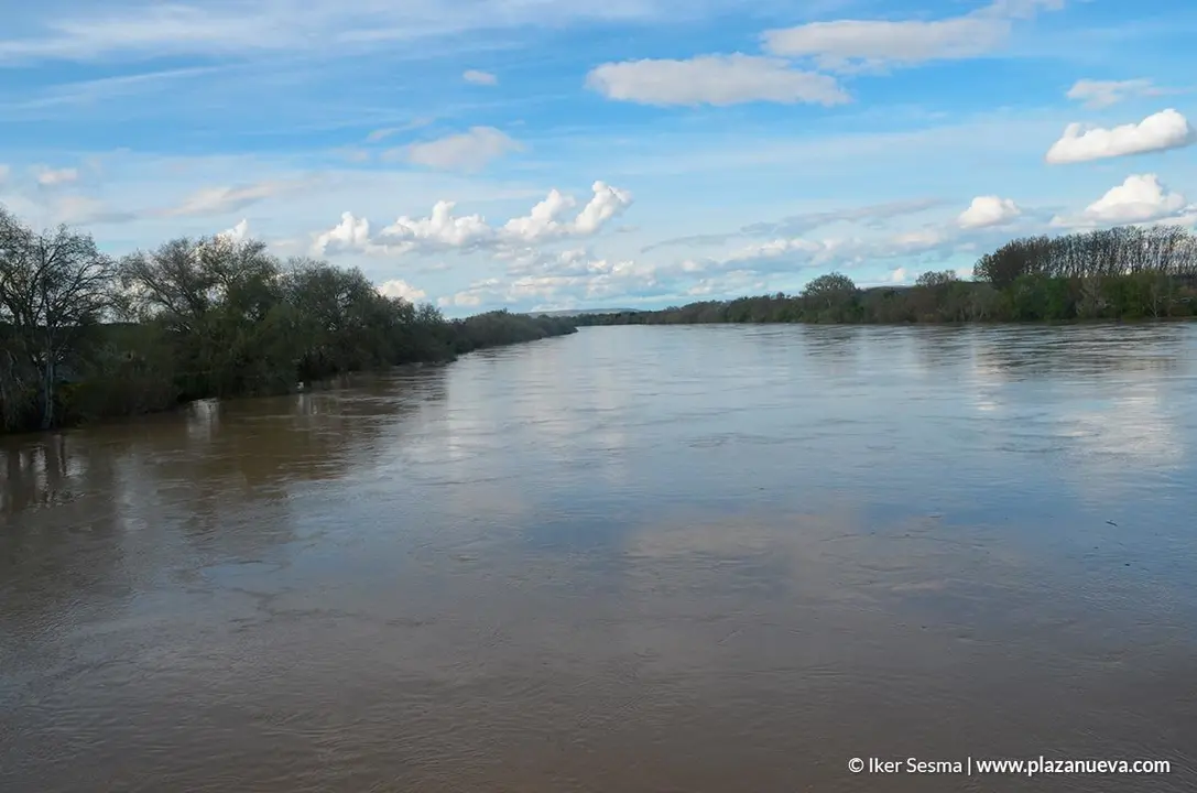 Crecida del Ebro (Tudela, 12-04-2018) - 16