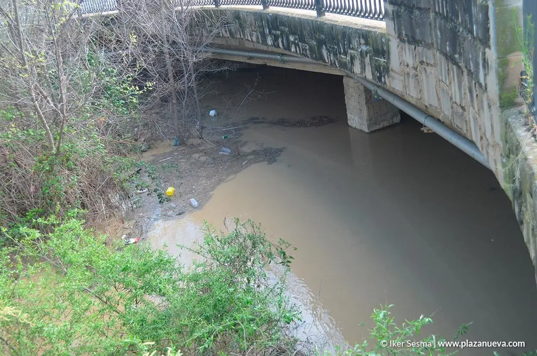 Crecida del Ebro (Tudela, 12-04-2018) - 17