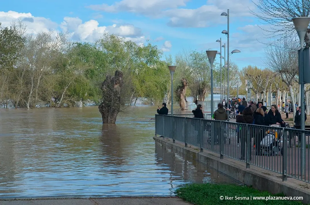 Crecida del Ebro (Tudela, 12-04-2018) - 24