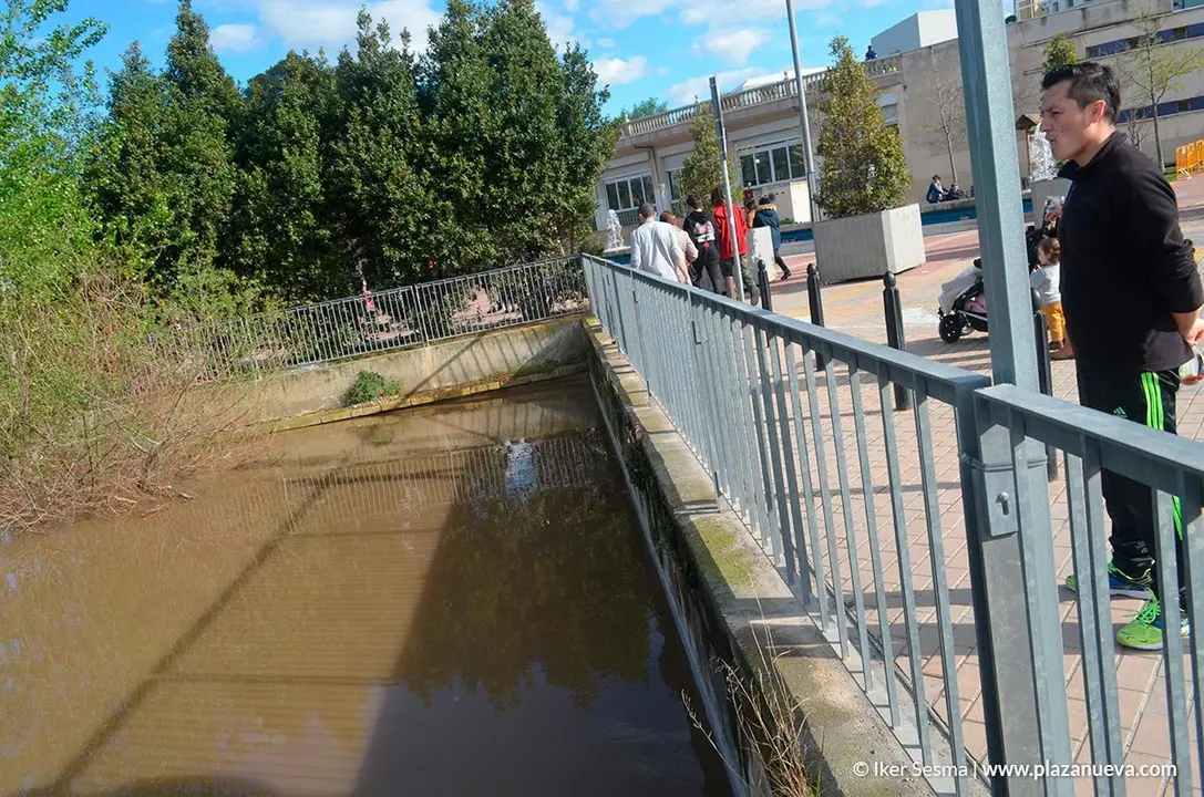 Crecida del Ebro (Tudela, 12-04-2018) - 23