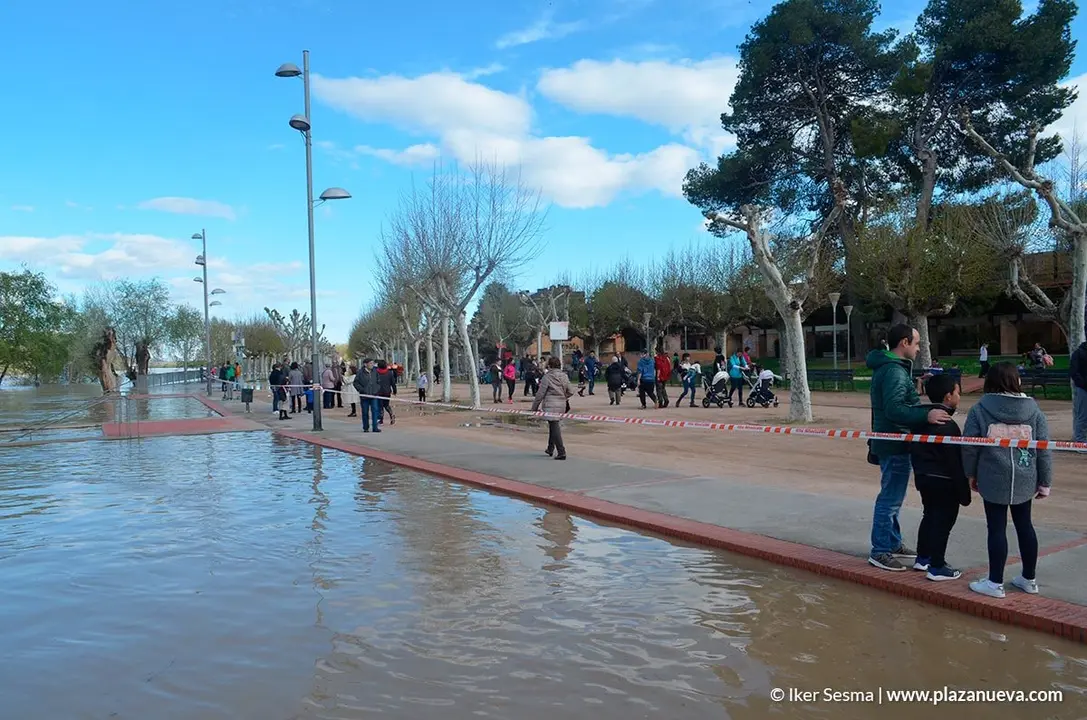 Crecida del Ebro (Tudela, 12-04-2018) - 25