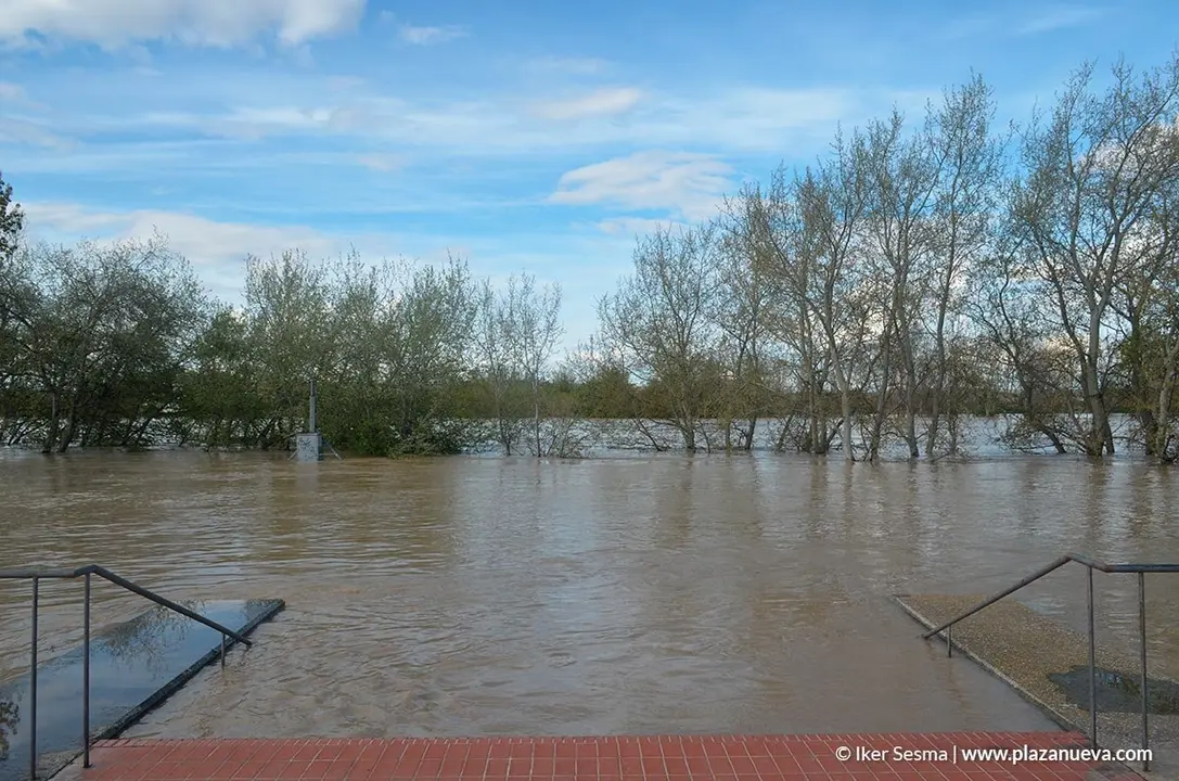 Crecida del Ebro (Tudela, 12-04-2018) - 27