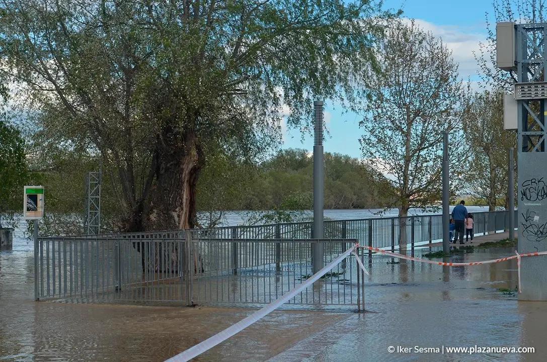 Crecida del Ebro (Tudela, 12-04-2018) - 29