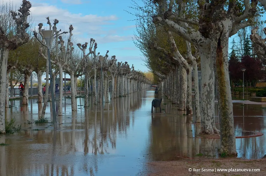 Crecida del Ebro (Tudela, 12-04-2018) - 30