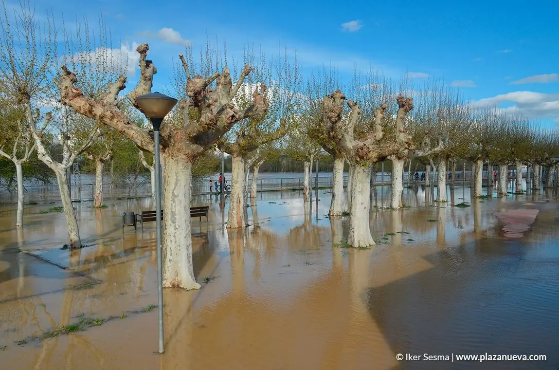 Crecida del Ebro (Tudela, 12-04-2018) - 32