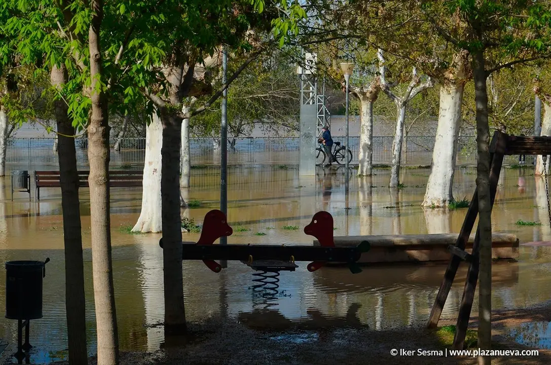 Crecida del Ebro (Tudela, 12-04-2018) - 33