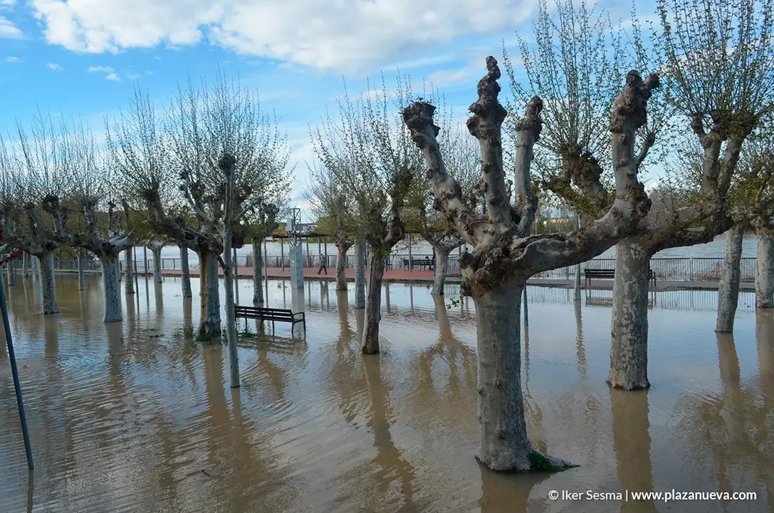 Crecida del Ebro (Tudela, 12-04-2018) - 35