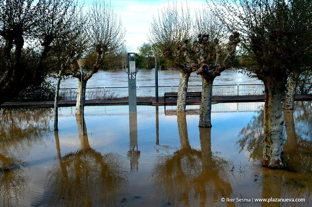 Crecida del Ebro (Tudela, 12-04-2018) - 36