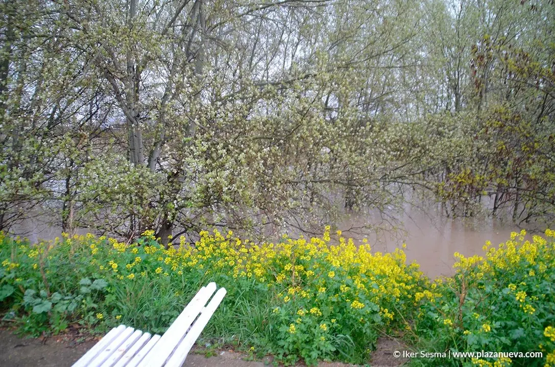 Crecida del Ebro (Tudela, 13-04-2018 a las 8'30 horas) - 5