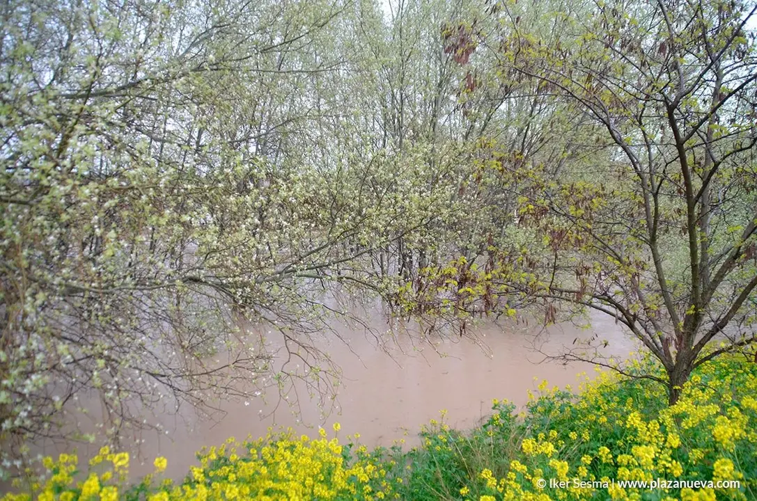 Crecida del Ebro (Tudela, 13-04-2018 a las 8'30 horas) - 6
