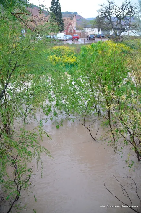 Crecida del Ebro (Tudela, 13-04-2018 a las 8'30 horas) - 9