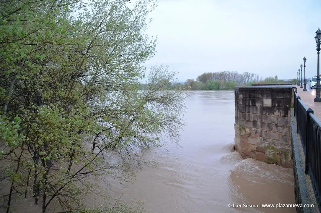 Crecida del Ebro (Tudela, 13-04-2018 a las 8'30 horas) - 10