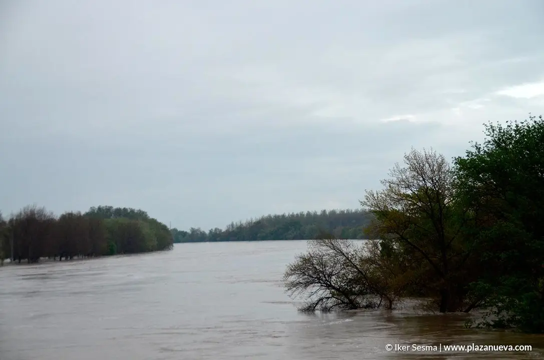 Crecida del Ebro (Tudela, 13-04-2018 a las 8'30 horas) - 16
