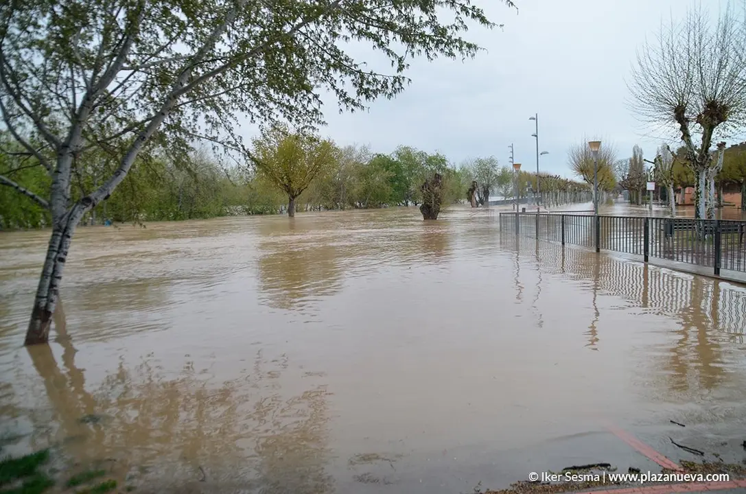 Crecida del Ebro (Tudela, 13-04-2018 a las 8'30 horas) - 25
