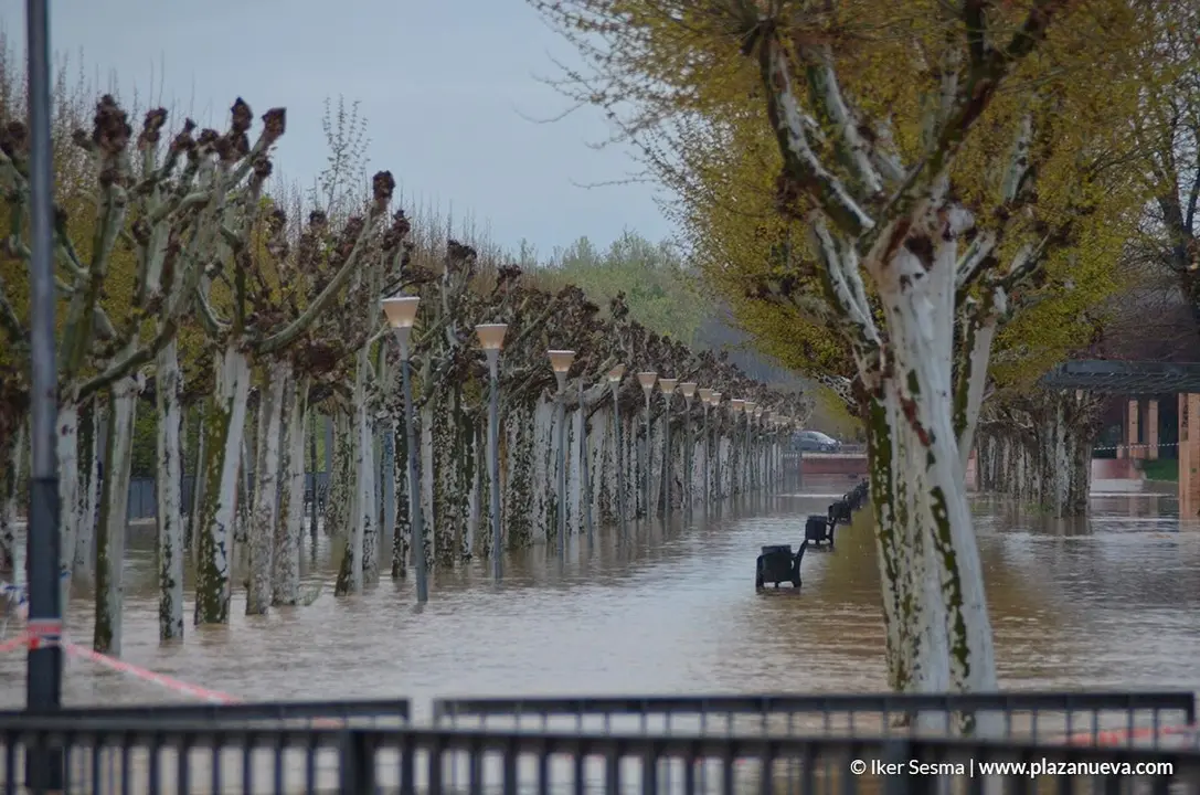 Crecida del Ebro (Tudela, 13-04-2018 a las 8'30 horas) - 26