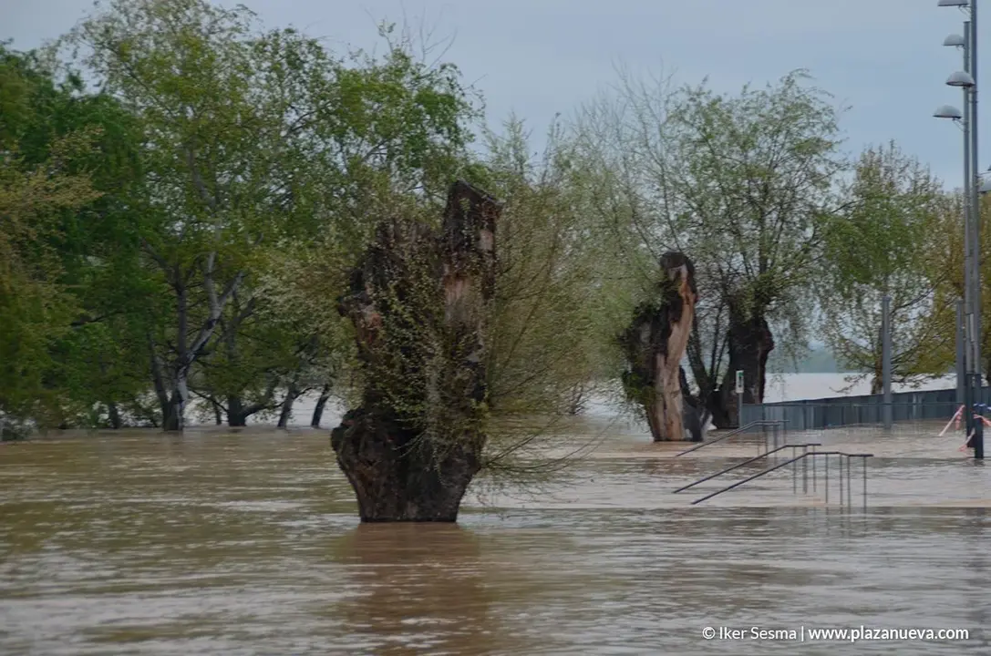 Crecida del Ebro (Tudela, 13-04-2018 a las 8'30 horas) - 27